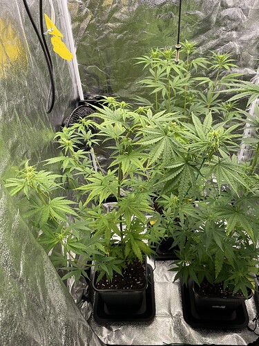 Growreport Bild 10