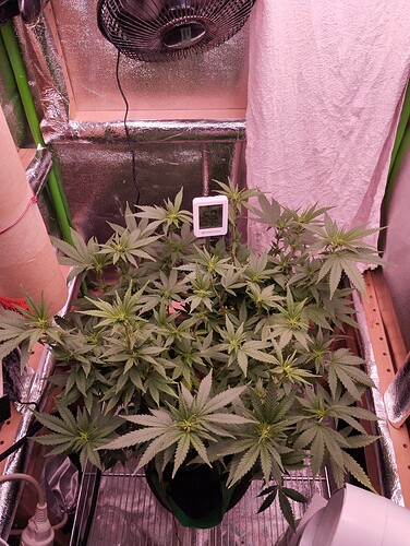 Growreport Bild 10