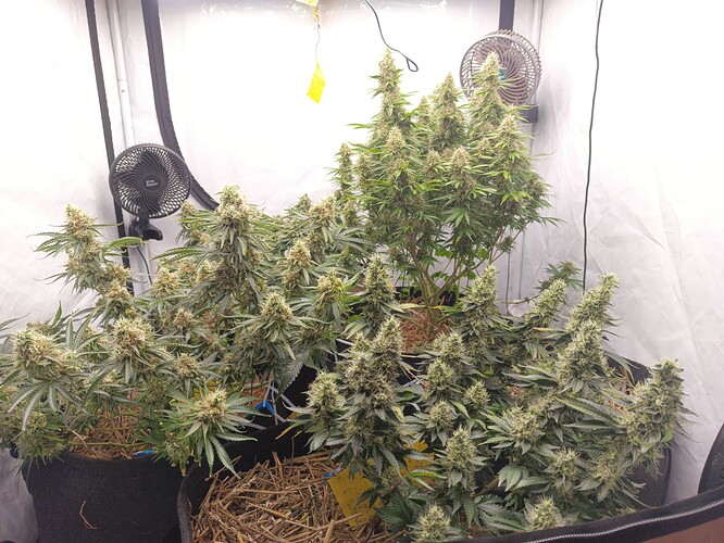 Growreport Bild 17