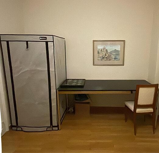 PHOTO-2024-12-25-13-08-49