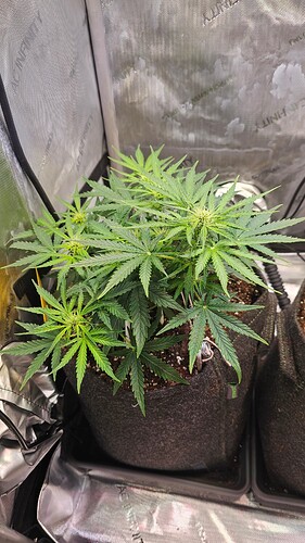 Growreport Bild 18