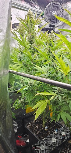 Growreport Bild 1