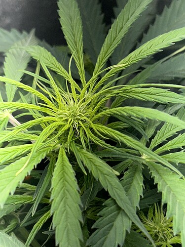 Growreport Bild 6