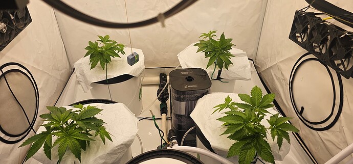 Growreport Bild 38