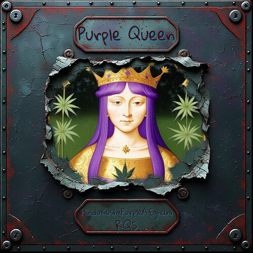 PurpleQueen Etikett