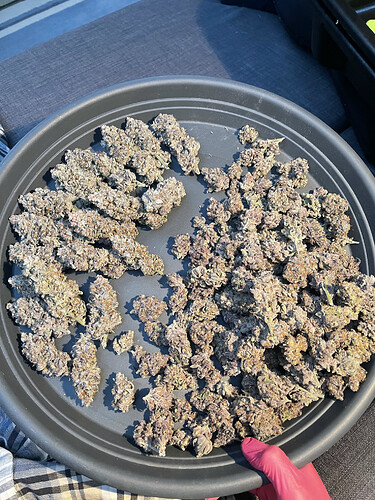 Growreport Bild 8