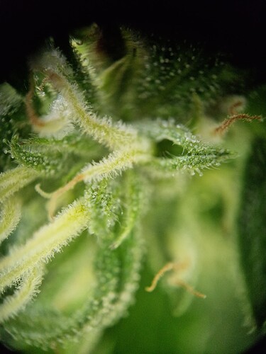 Growreport Bild 2