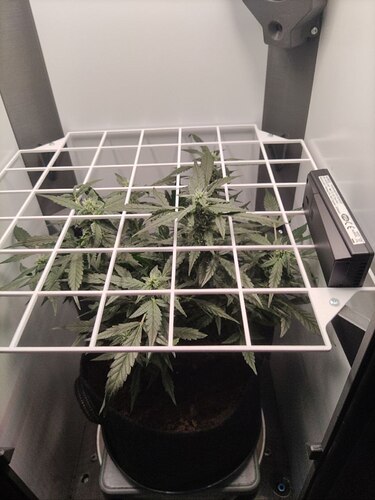 photo_4_2024-07-17_19-49-42