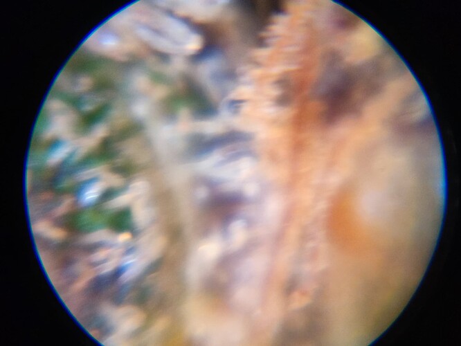 Growreport Bild 32