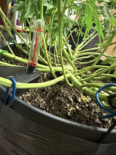 Growreport Bild 33
