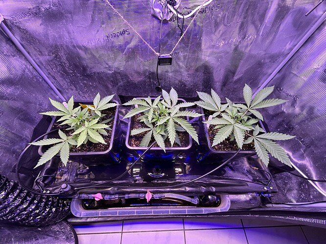 Growreport Bild 15
