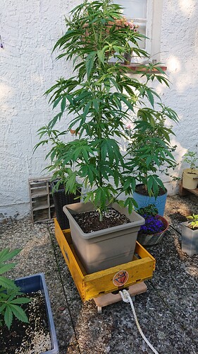 Growreport Bild 10