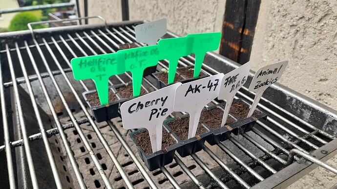 Growreport Bild 25