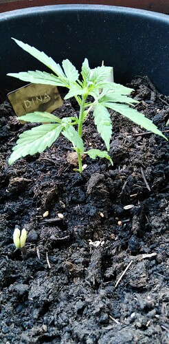 Growreport Bild 3