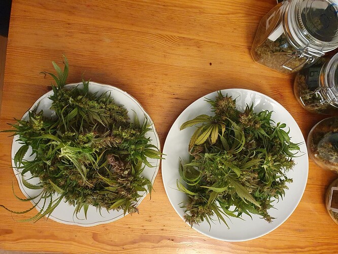 Growreport Bild 1