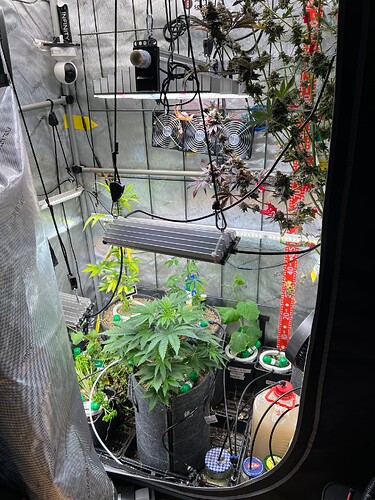 Growreport Bild 9
