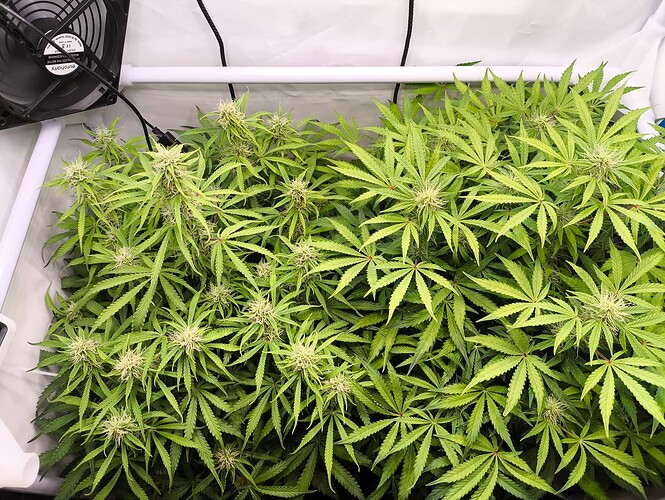Growreport Bild 9