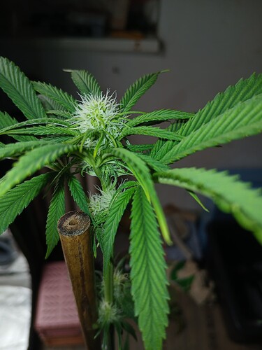 Growreport Bild 18
