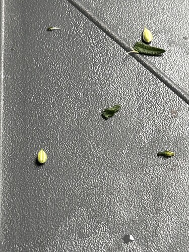 Growreport Bild 3