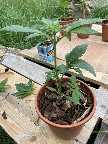 Growreport Bild 10