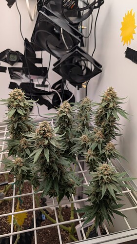 Growreport Bild 11