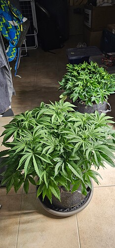 Growreport Bild 15