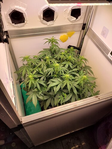 Growreport Bild 4