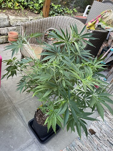 Growreport Bild 35