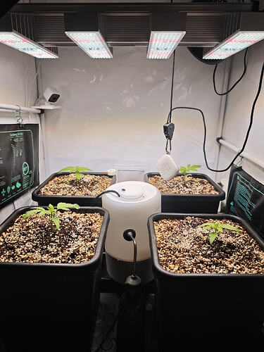 Growreport Bild 18
