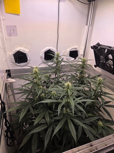 Growreport Bild 2