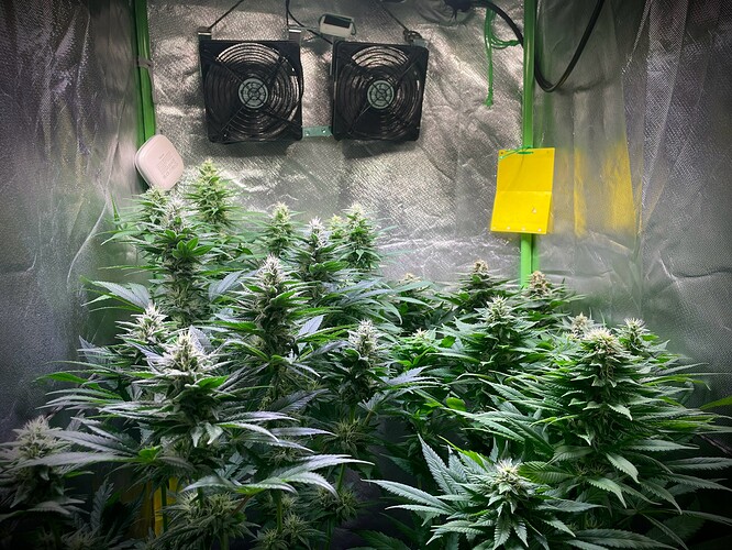 Growreport Bild 3