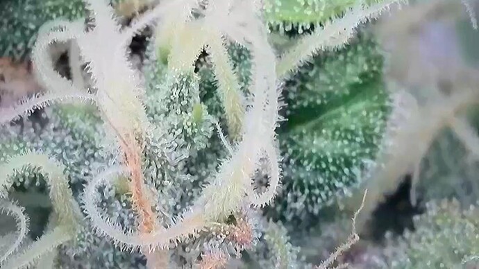 Growreport Bild 23