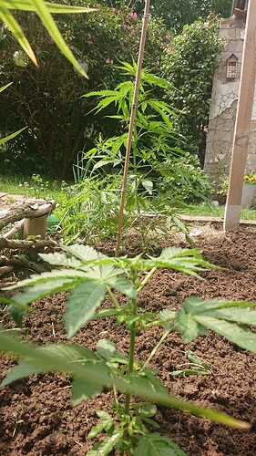 Growreport Bild 15