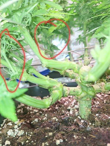Growreport Bild 10