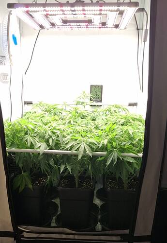 595632808_122216189468293599_4111052205671038759_n