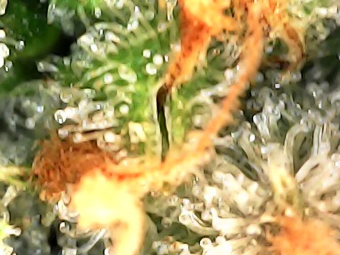 Photo_2024-04-28 13_37_07_786