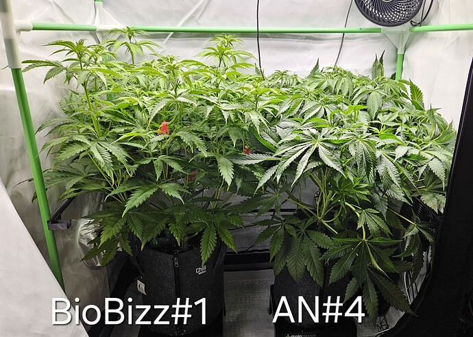 Growreport Bild 4