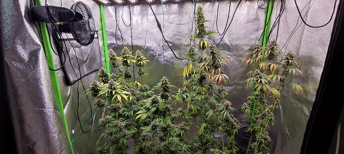 Growreport Bild 2