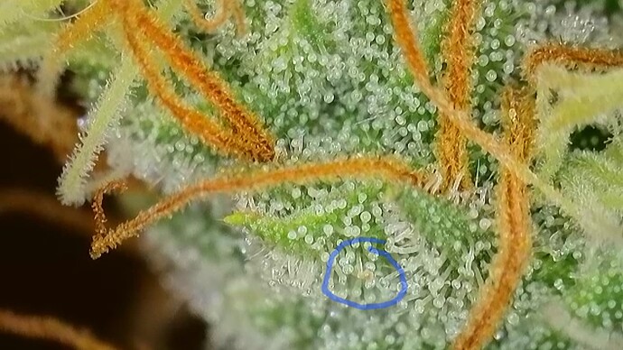 Growreport Bild 8