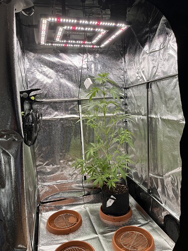 Growreport Bild 5
