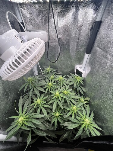 Growreport Bild 10