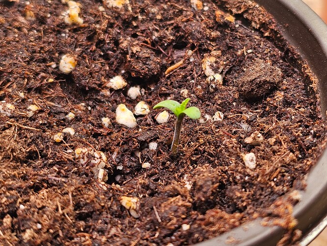 Growreport Bild 2