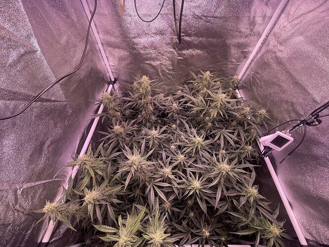 Growreport Bild 7