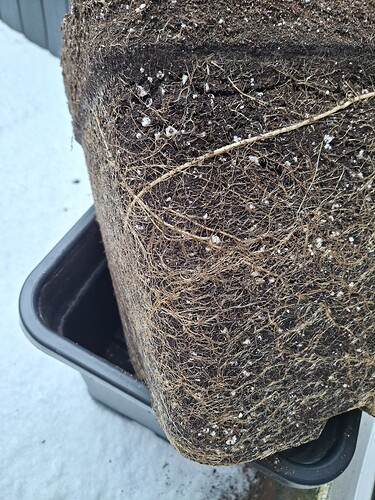 Growreport Bild 17