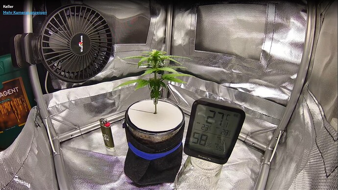 Growreport Bild 13