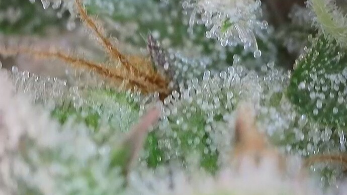 Growreport Bild 16