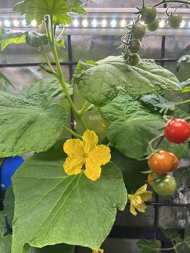 Growreport Bild 13