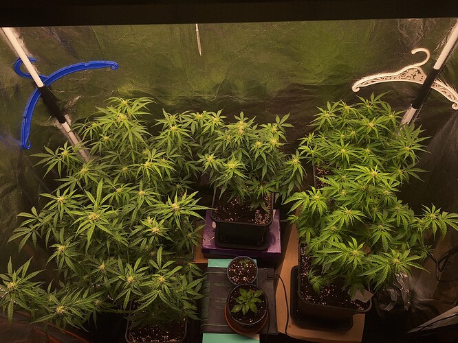 Growreport Bild 10