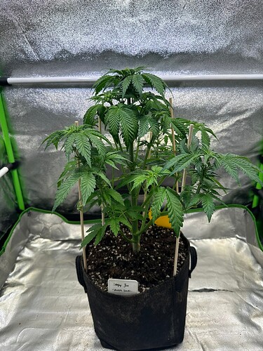 Growreport Bild 11