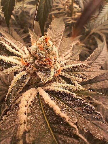Growreport Bild 11
